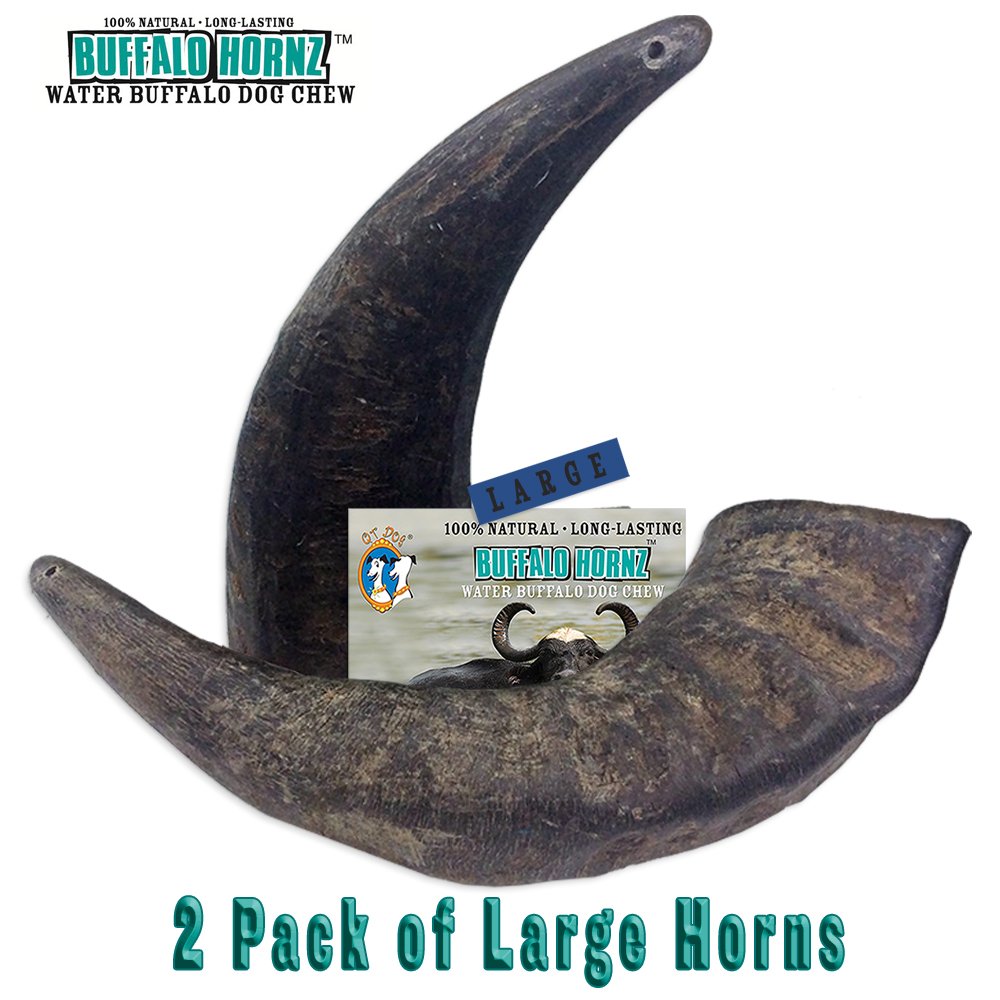 2 Pack of Buffalo Hornz Large Long Lasting 100 Natural Water Buffalo Horn Dog 671963015549 eBay 2 Pack of Buffalo Hornz Large Long Lasting 100 Natural Water Buffalo Horn Dog 671963015549 eBay