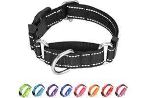BXPAW Martingale Collar for Dogs,Reflective Martingale Dog Collars with Quick Release Buckle,Adjustable Nylon No Pull Dog Collar for Dogs Walking Training (Orange, Small)