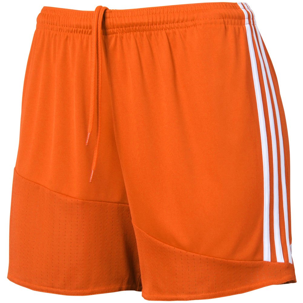 regista 16 shorts