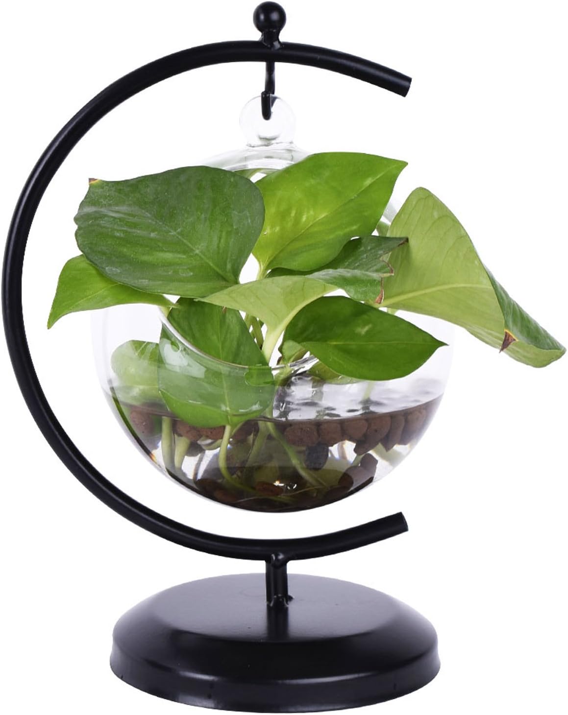 AUTOARK Glass Vase Plant Terrarium with Black Metal Stand,Ornament Display Stand,Office Desktop Potted Stand,Home & Office Decor Accent,1 Globe,APT-001: Garden & Outdoor