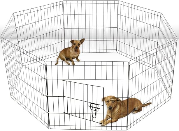 stop my dog barking at night