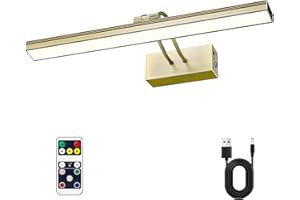 LEEQVHOOLL Picture Light,16in Battery Wall Light,3CCT Display Light,Metal Art Lights for Paintings,Remote Timer and Dimmable Accent Light for Gallery,Artwork,Portrait,Frame(Antique Brass)