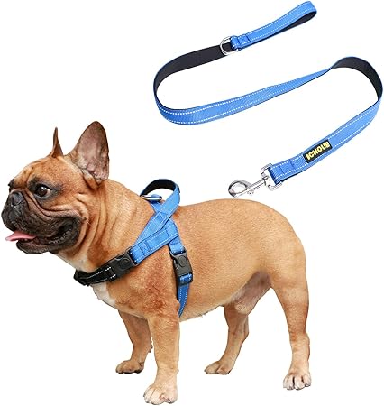 amazon dog harness with handle
