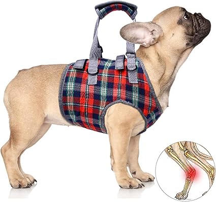 dog front leg sling