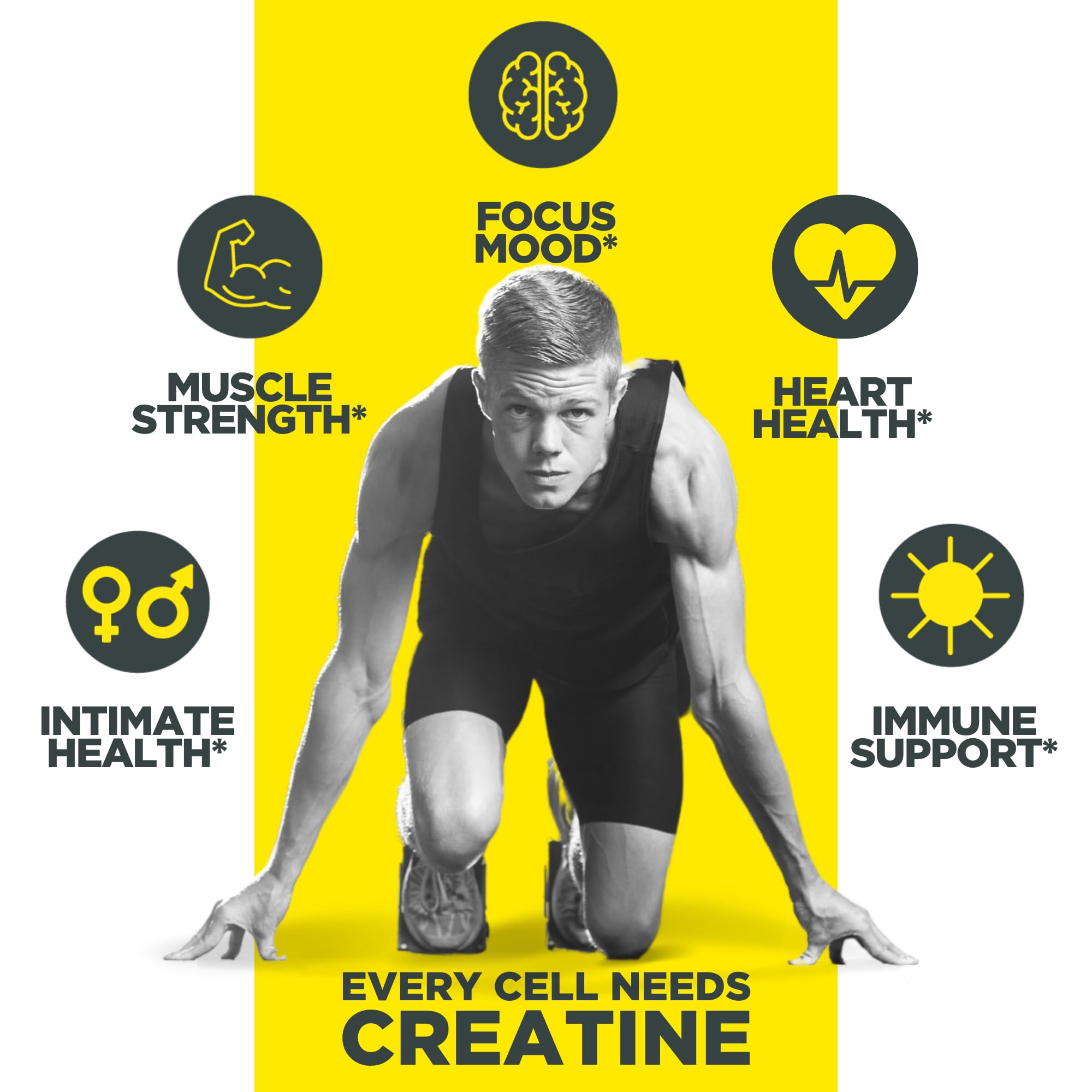 CON-CRET Creatine HCl Capsules | Muscle, Cognitive, Cellular Energy Support | No Bloating or Cramps | USA Made & NSF Certified | Creatine Pills (72ct)
