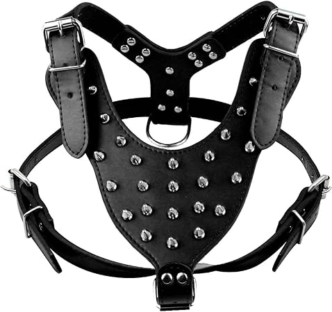 studded leather harness