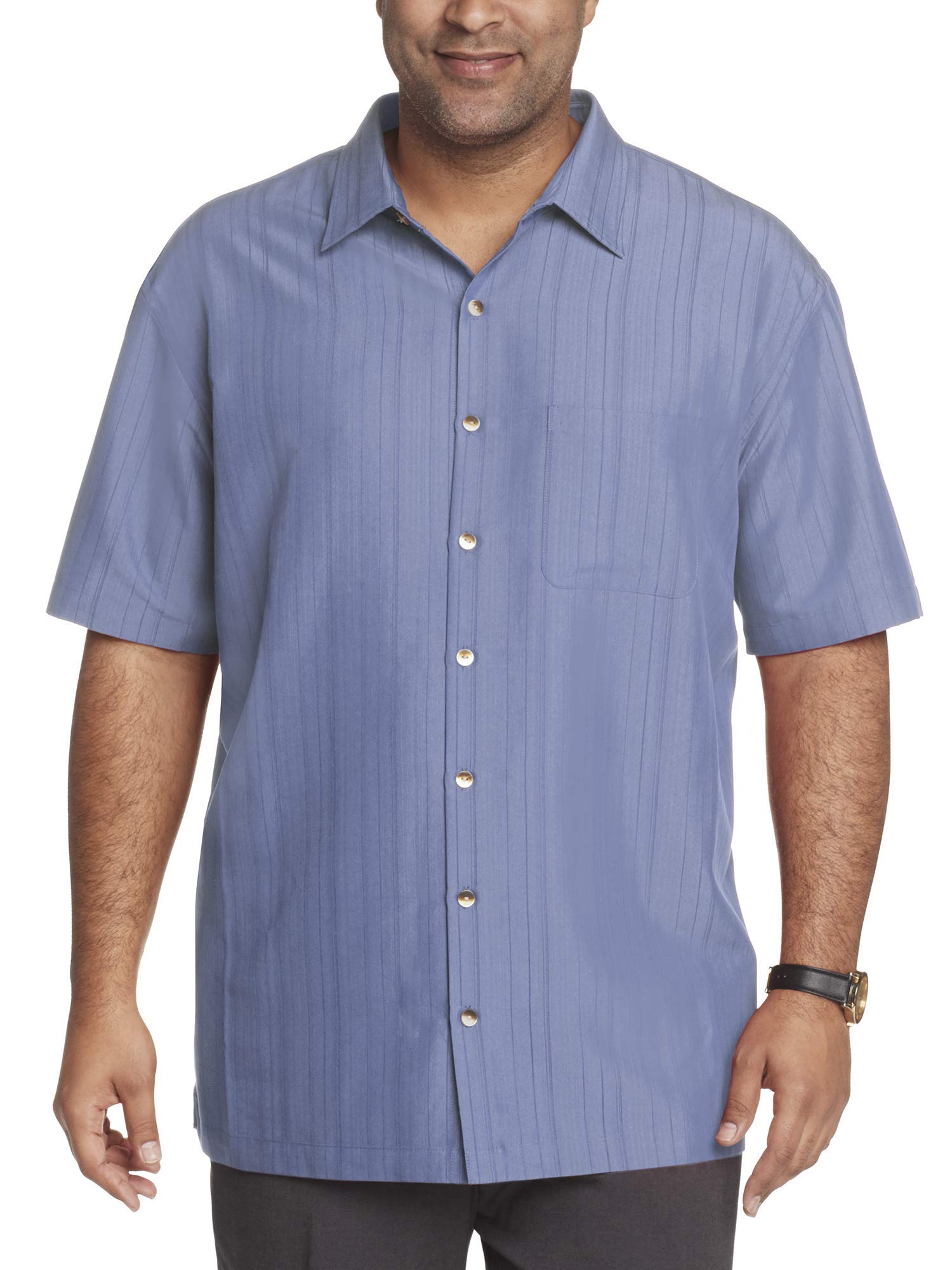 Van Heusen Men's Big and Tall Air Short Sleeve Button Down Poly Rayon Stripe Shirt