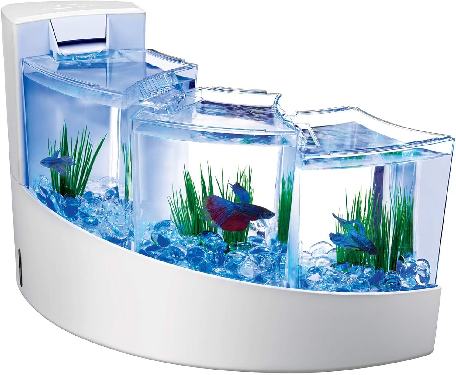 aqueon betta fish tank