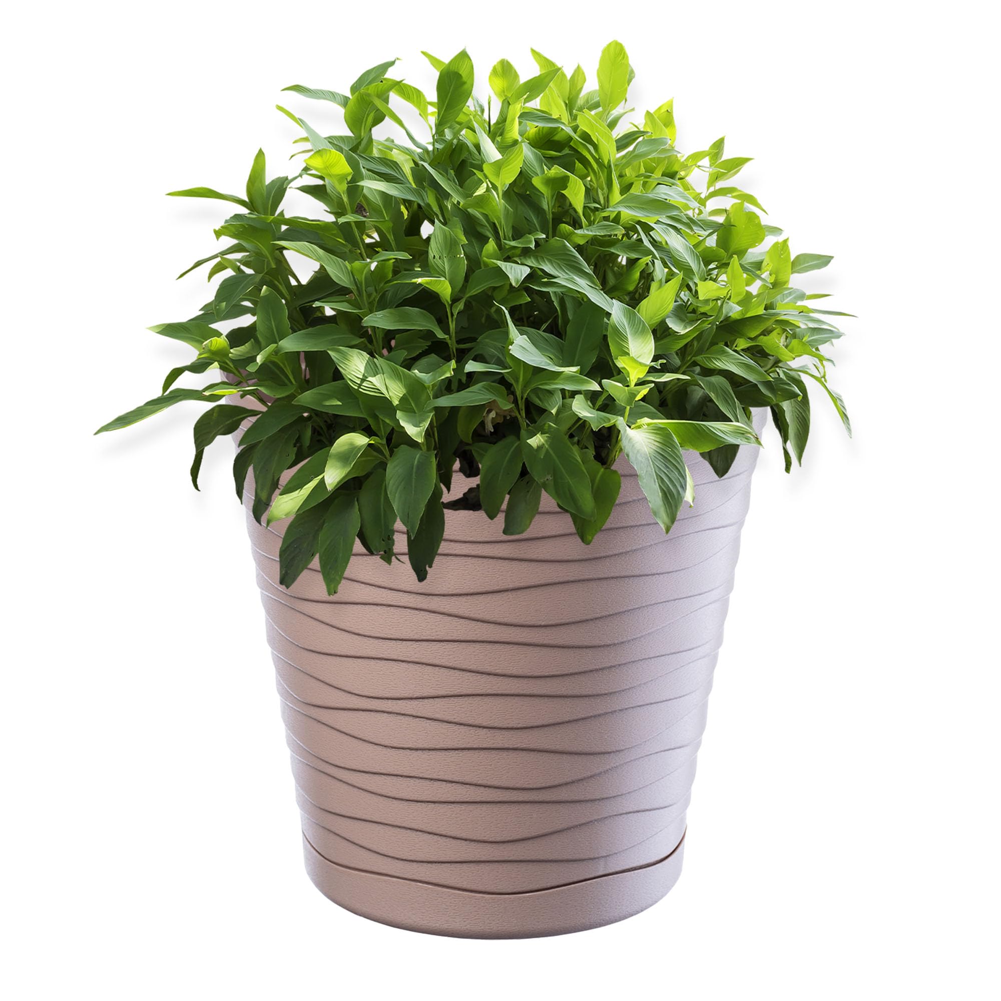 KADAX Plastic Flowerpot, Indoor Plant Pot with Saucer, Lightweight Flower Pot in Several Colours and Sizes, Unique Planter for Houseplants (15 cm, Beige)