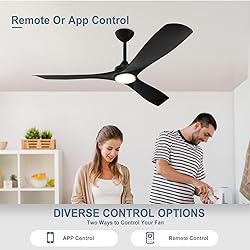 BvenuBigLite Black Ceiling Fan with Light: 3 Blades