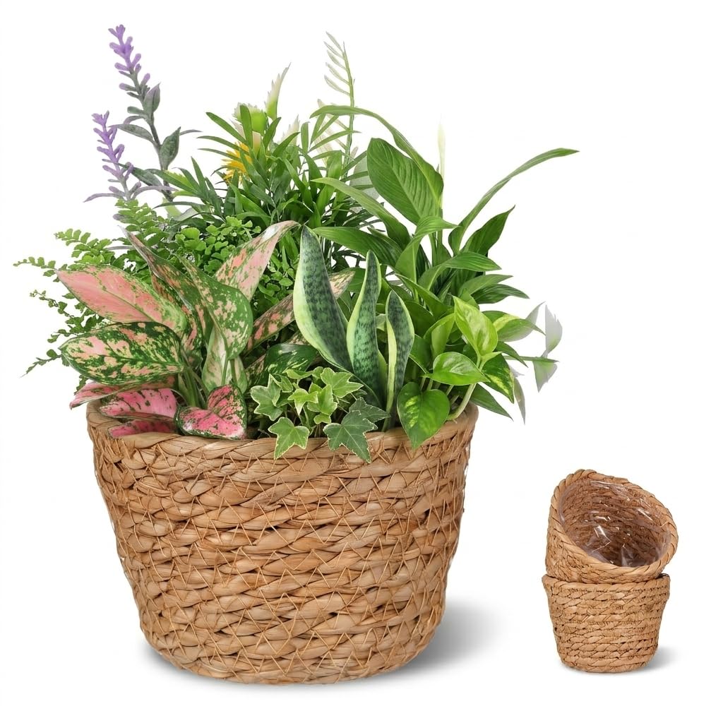 Alipis Seagrass Basket Planter Woven Flower Pots 2pcs 13cm Rattan Storage Basket Plant Container Hand Woven Basket Planter Straw Flower Pot for Indoor and Outdoor Plants