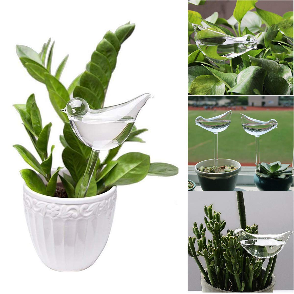 jiabang Plant Watering Bulbs (2 Pack) Glass Bird Self-Watering Stakes Water Globe Automatic Irrigation Device for Indoor & Outdoor