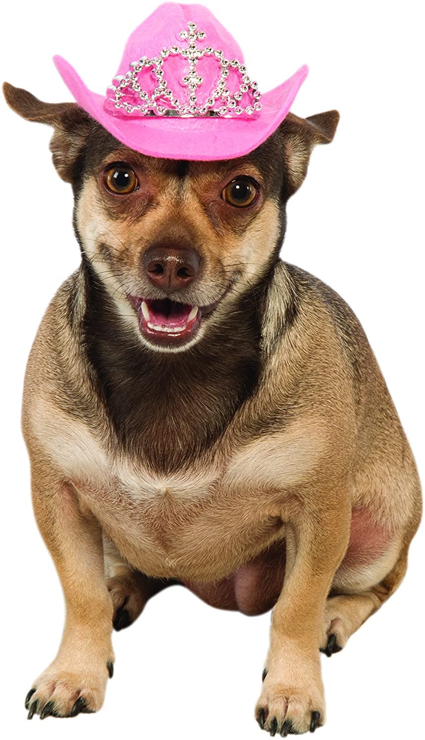 Rubies Pink Cowgirl Dog Hat with Tiara, S/M, Multicolor, S/M