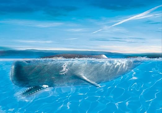 playmobil whale watching