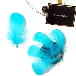 300pcs Turquoise Feathers 2-3 Inches Bulk Feathers
