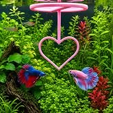 3DAquaticSolutions Floating Heart Betta Training Ring, Heart Active Betta Training Floating Ring, Floating Feeder, Betta Loops for Aquarium Decor, Pink, 3.8in x 3.7in (Pink, Single)
