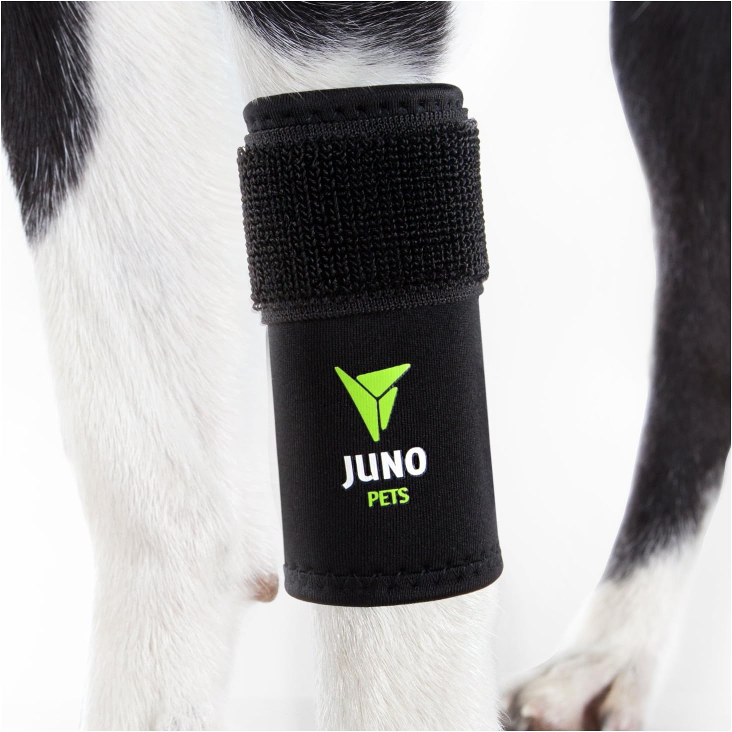 JunoPets Dog Canine Leg Knee Brace, Hock Joint Wrap for Heals and Prevents Injuries and Sprains, Helps with Loss of Stability (Front Leg, L/XL)