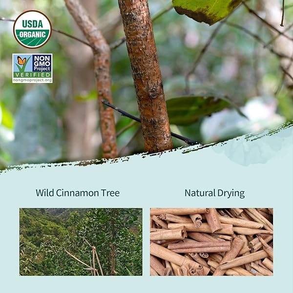 SOEOS ORGANIC CINNAMON STICKS, 8 OZ (226G), 3.5″ LENGTH, 100% RAW, NON-GMO, KOSHER CERTIFIED, WHOLE CINNAMON STICKS SEASONING SPICE FOR COFFEE, BAKING, COOKING AND BEVERAGES