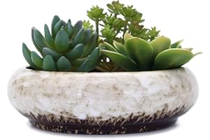 VanEnjoy 7.3 inch Round Large Shallow Succulent Ceramic Glazed Planter Pots with Drainage Hole, Bonsai Pots Garden Decorative Cactus Stand Flower Container (White)