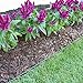Valley View Innovative Edge No Dig edging 20 feet with EXTRA anchor nails (16 quantity)