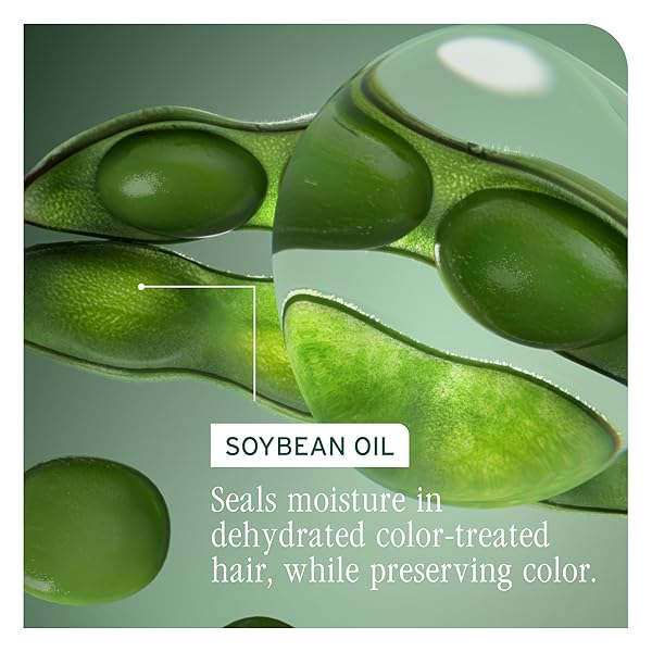 BIOLAGE COLOR LAST SHAMPOO – FOR COLOR-TREATED HAIR, NOURISHES, STRENGTHENS, HYDRATES, SOYBEAN OIL & STEARIC ACID, PARABEN & MINERAL OIL-FREE, VEGAN, 13.5 FL OZ, PACKAGING MAY VARY