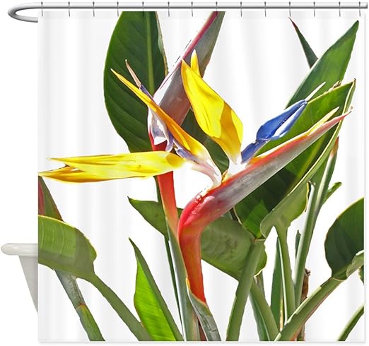 Amazon Com Cafepress Bird Of Paradise Decorative Fabric Shower