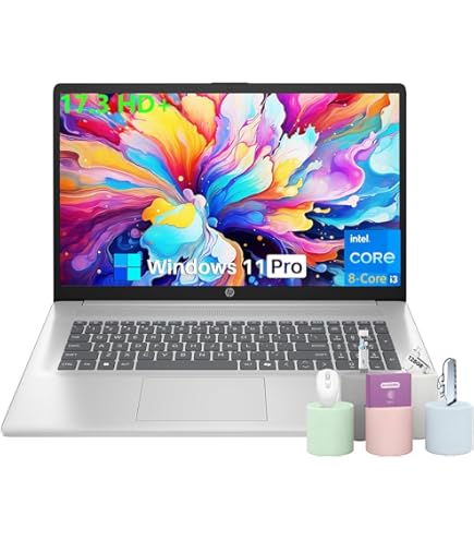 Amazon.com: HP 17.3 Laptop i5-8265u 16GB SSD Drive (16GB/1TB SSD
