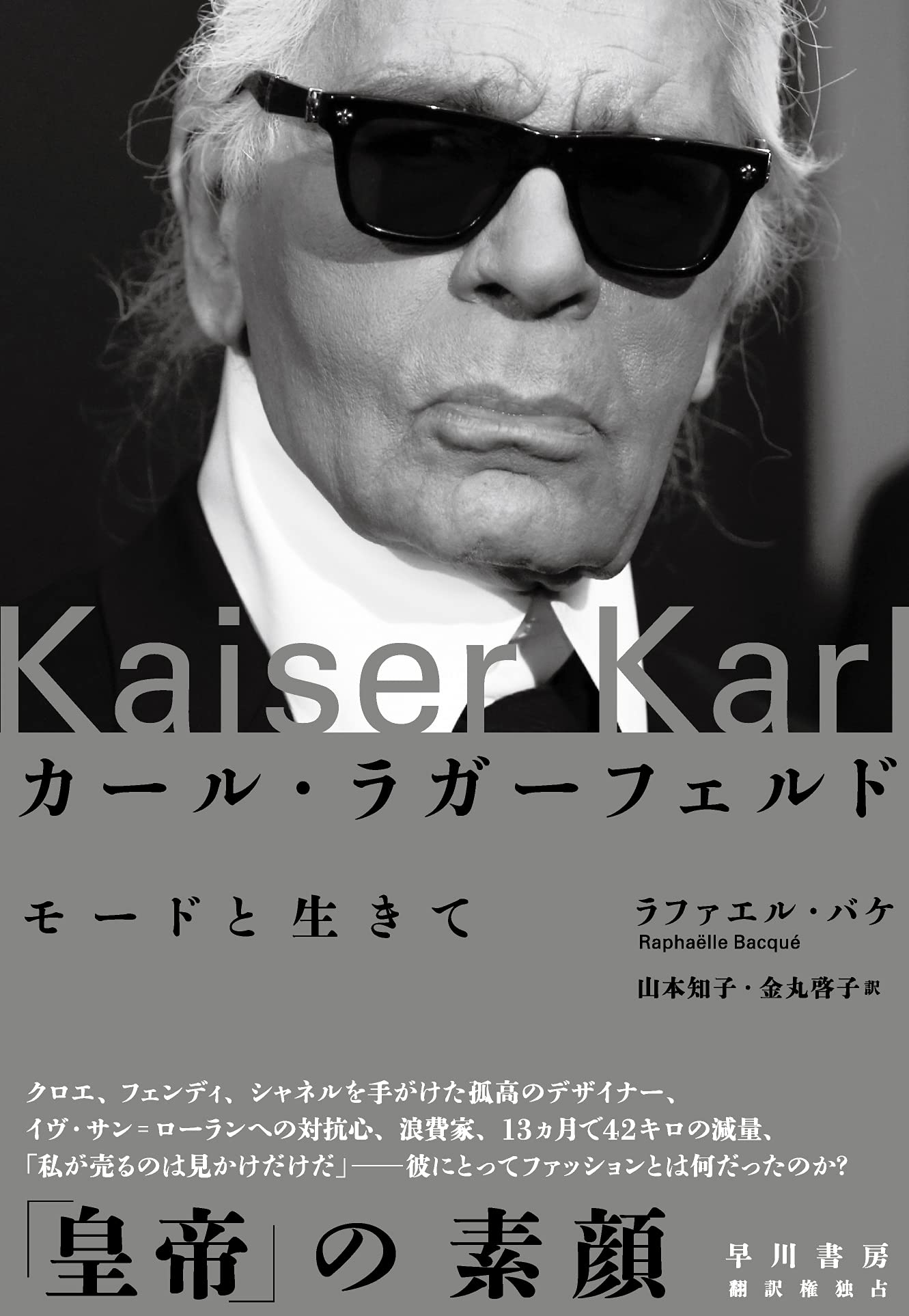 ファッションを創る男 カール ラガーフェルド Dvd 品 Ipesolucoesambientais Com Br