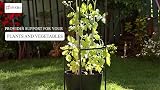 DIVCHI 1.9m Steel Garden Obelisk Climbing Plant Support Black view 6
