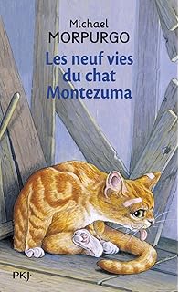 Amazonfr Chat Perdu Jean Noël Blanc Jean Claude