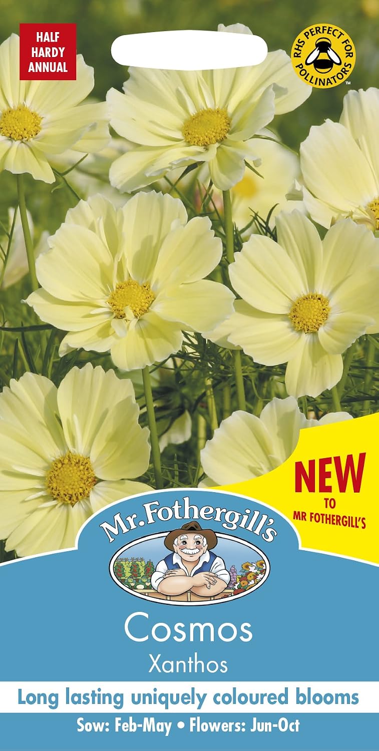 Mr Fothergill’s 17300 UK/FO/FL Cosmos Xanthos, soft yellow
