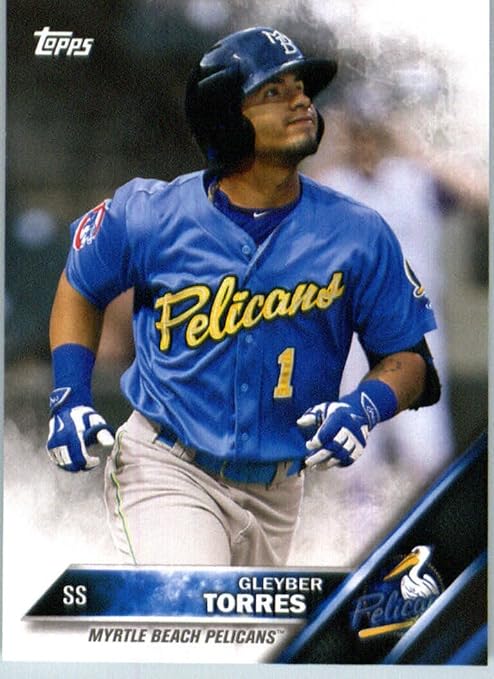 myrtle beach pelicans jersey