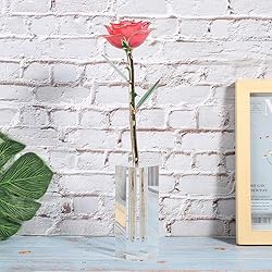 Ejoyous Acrylic Rose Display Stand, Rectangular