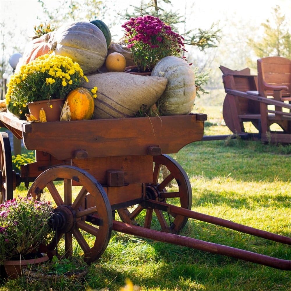 Amazon.com : Leowefowa 8X8FT Thanksgiving Day Backdrop ...