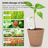 Aileem 40pk Round Fibre Seedling Pots 8cm Biodegradable Plant Starter Tray Kit view 7