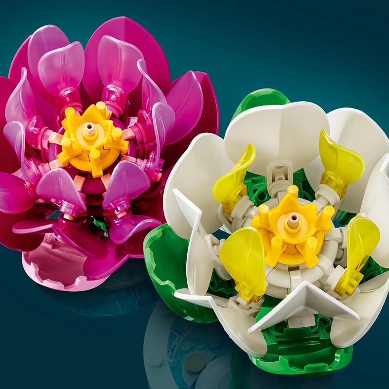 Botanicals Seerosen 11511