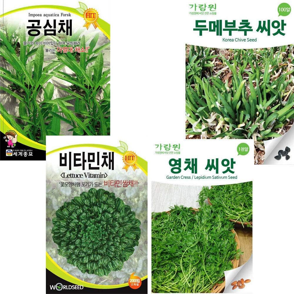 TOMHY Seeds Package: 2.Korea Chive Seed (Boochu) : Korean Vegetable Seeds Seed Garden Seed Farm Agriculture(Chive/Sativum)