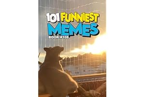 101 FUNNIEST MEMES: BOOK 108