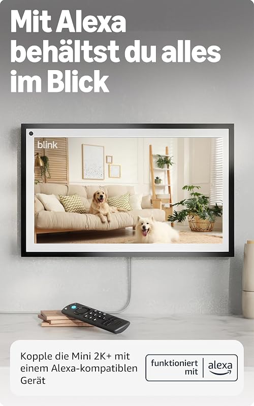 Mini 2K+ (neueste Generation), Sicherheitskamera mit Netzstecker für zuhause, 2K-Videoauflösung, 4-fach-Zoom, Nachtsicht in Farbe, 1 Kamera – Schwarz