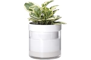 Phoenix Vine 6 Inch Self Watering Planter, White Terracotta Clay Pot with Glass Reservoir for Indoor Plants, Herbs, Flowers, Set of 1, 52-B-F-1