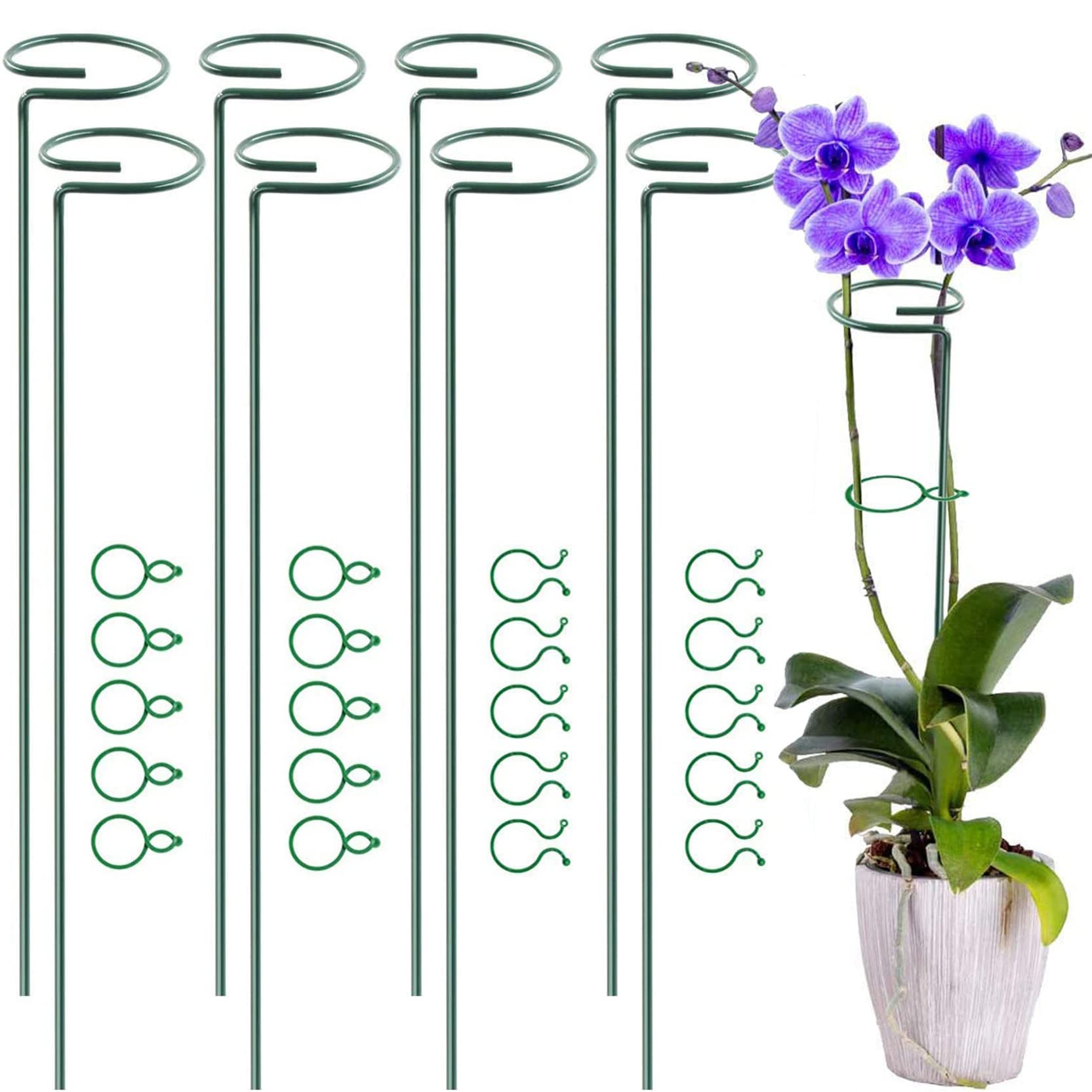 Plant Support Stakes, POTWPOT 8pcs 40cm Garden Single Stem Support Stake Amaryllis Plant Cage Support Rings Plant Support Sticks with 30pcs Plant Clips for Garden Flower Tomatoes Orchid Peony Rose