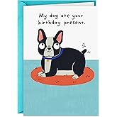 Hallmark Shoebox Funny Birthday Card (My Dog Ate Your Present)