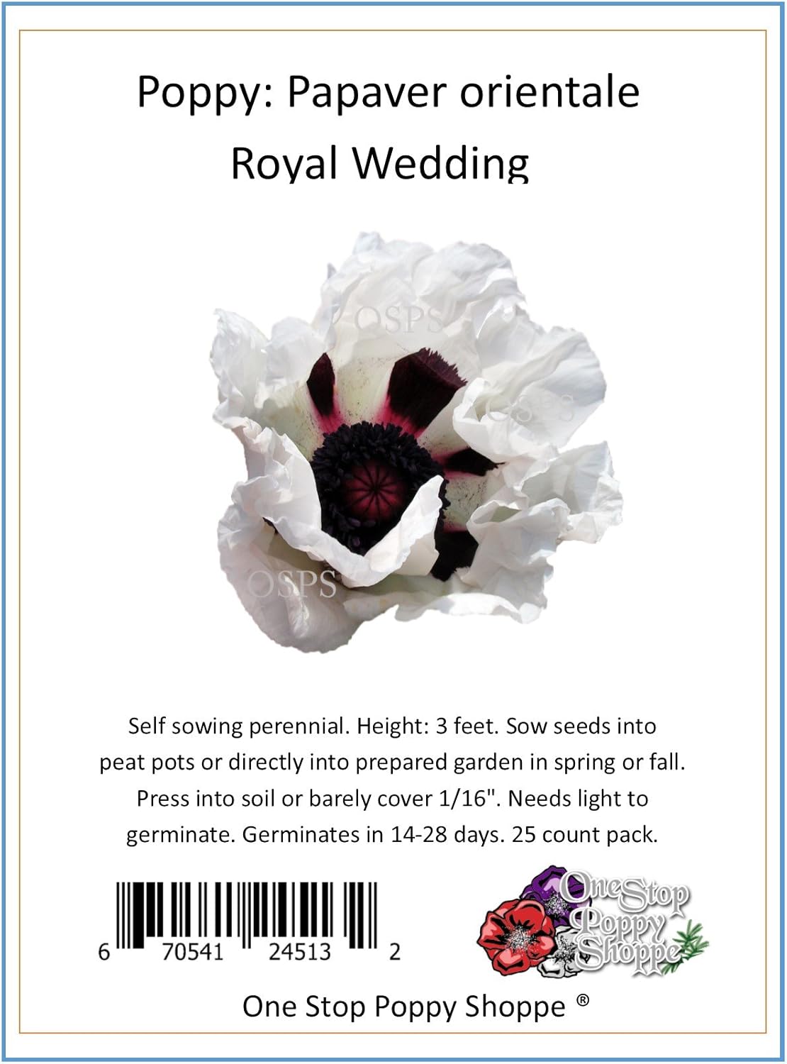 25 Oriental Poppy Flower Seeds. Royal Wedding Poppies. One