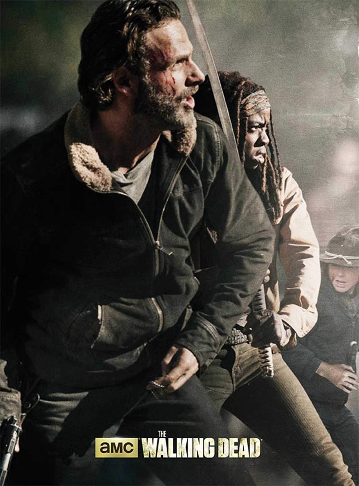 The Walking Dead The Poster Collection Volume 1 Amc Books Amazon Ca