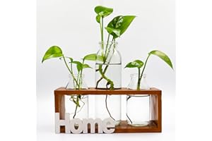 SOSFKIM Plant Terrarium with Metal Stand, Desktop Air Planter Bulb Glass Vase for Indoor Live Hydroponics Plants Home Garden Office Decoration (Home-3)