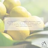 Absolute Aromas Natural Lemon Myrtle Room Spray 100ml – Pure Essential Oil view 5