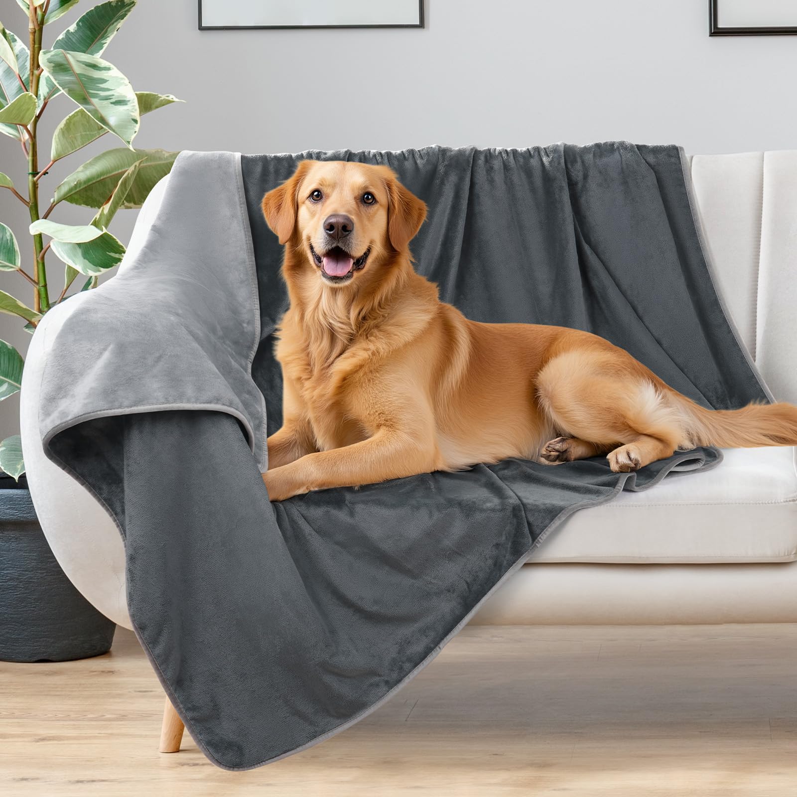Photo 1 of LOOBANI Waterproof Dog Blanket for Bed: Spill-Proof Puppy Blankets for Small Medium Dogs Washable, Reversible Soft Flannel Pet Throw for Couch Sofa Cover, Crate, Travel, Picnic, 30" x 40", Grey