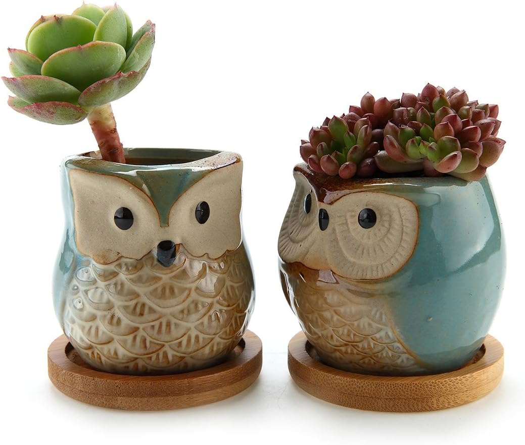 T4U 6.5CM Ceramic Owl Succulent Cactus Planter Pot Set with Bamboo Tray - Glaze Light Blue, Pack of 2, Home and Office Decoration Desktop Windowsill Bonsai Pots Gift for Wedding Birthday Christmas