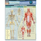 Anatomy Fundamentals: Life Science (Quick Study Academic)