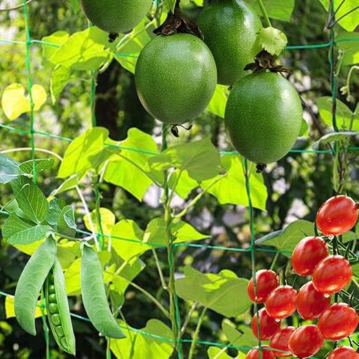 SAPHRANK - Red para Enredaderas con Gran Ancho de Malla para la ...